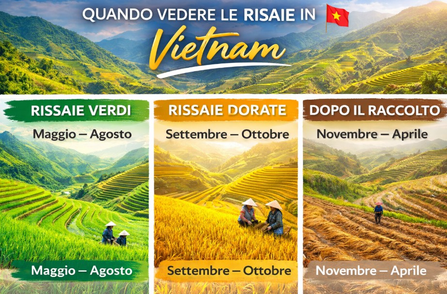 quando vedere le risaie in vietnam
