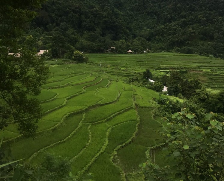 Paesaggi del Vietnam del Nord